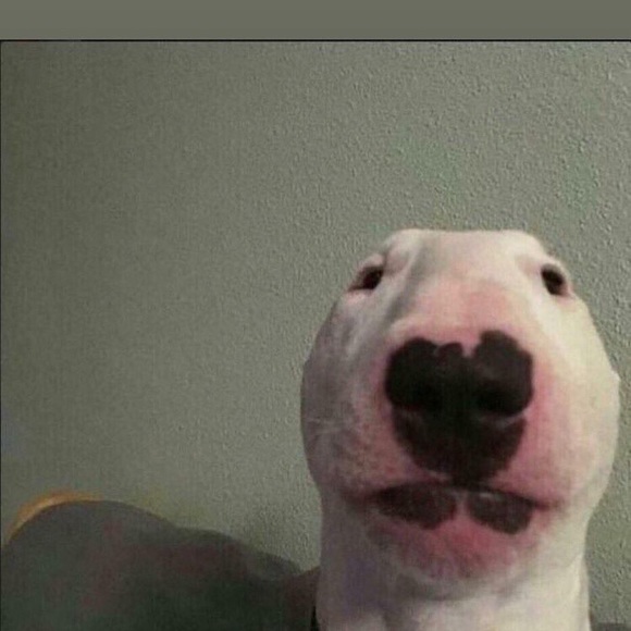 pxpinattx3